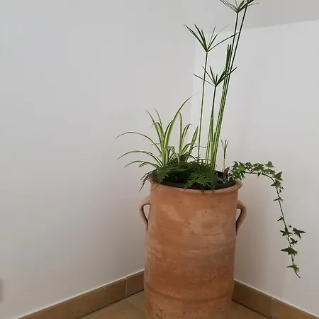 D'hotes De Charme, Un Temps En Foret 3* Westhouse