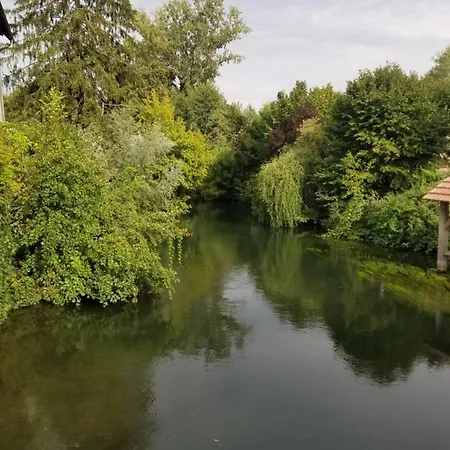 D'hotes De Charme, Un Temps En Foret