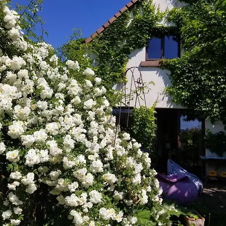 D'hôtes De Charme, Un Temps En Forêt 3*