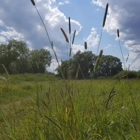 Bed & Breakfast D'hotes De Charme, Un Temps En Foret Westhouse