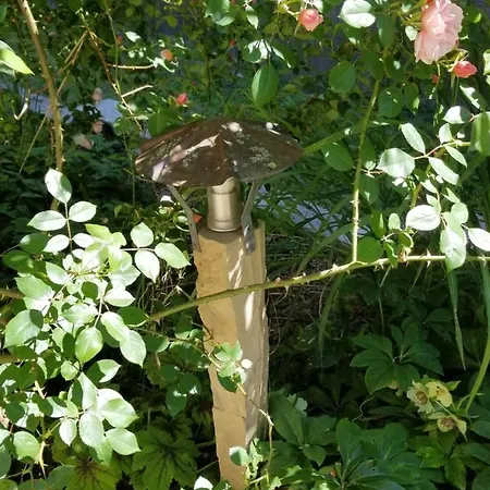 D'hôtes De Charme, Un Temps En Forêt