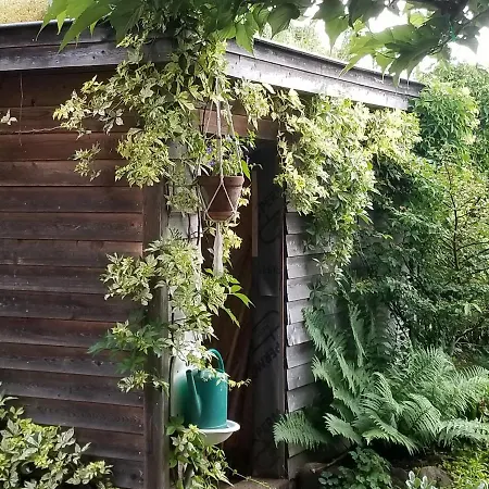 D'hotes De Charme, Un Temps En Foret Westhouse