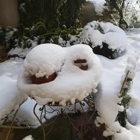 D'hotes De Charme, Un Temps En Foret Westhouse