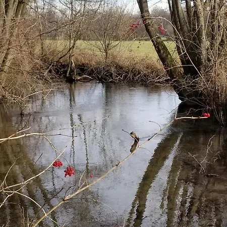 D'hotes De Charme, Un Temps En Foret *
