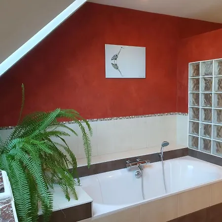 Bed & Breakfast D'hotes De Charme, Un Temps En Foret 3*