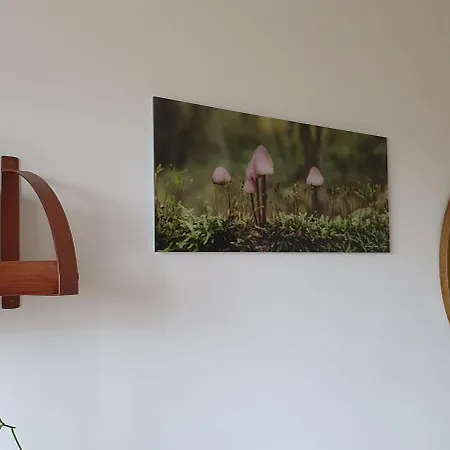 Bed & Breakfast D'hotes De Charme, Un Temps En Foret Westhouse