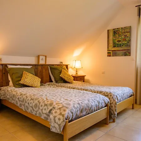 D'hotes De Charme, Un Temps En Foret