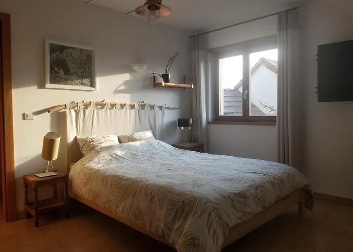 Bed & Breakfast D'hotes De Charme, Un Temps En Foret