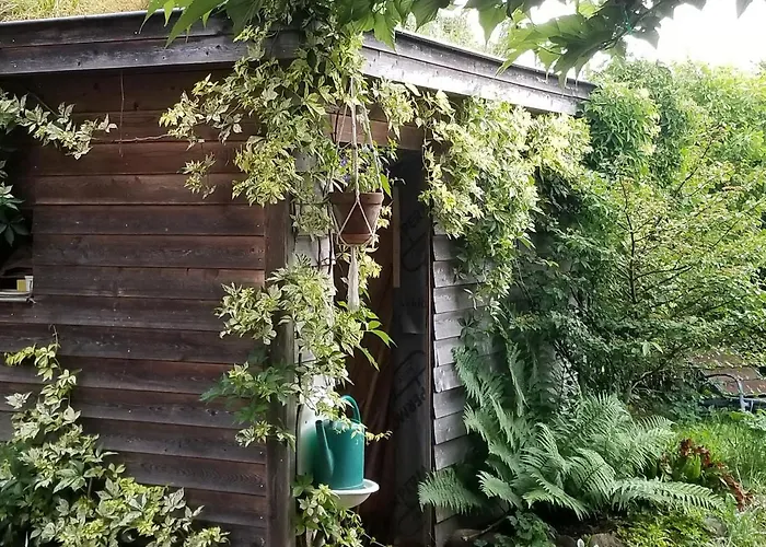 D'hotes De Charme, Un Temps En Foret Westhouse